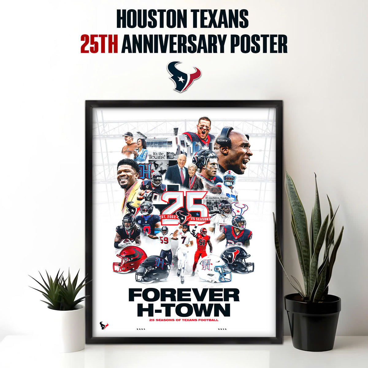 Texans 25th Anniversary Commemorative Poster