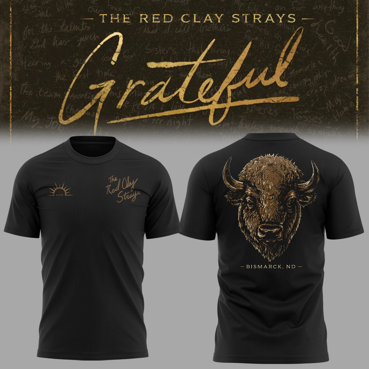 Limited Edition The Grateful Tour in Bismarck, ND Shirt-KC08202604