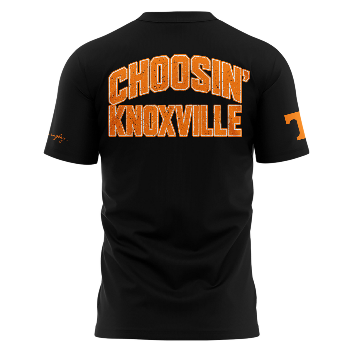 Tennessee Volunteers x Ella Langley-The Dandelion Tour 2026 T-shirt
