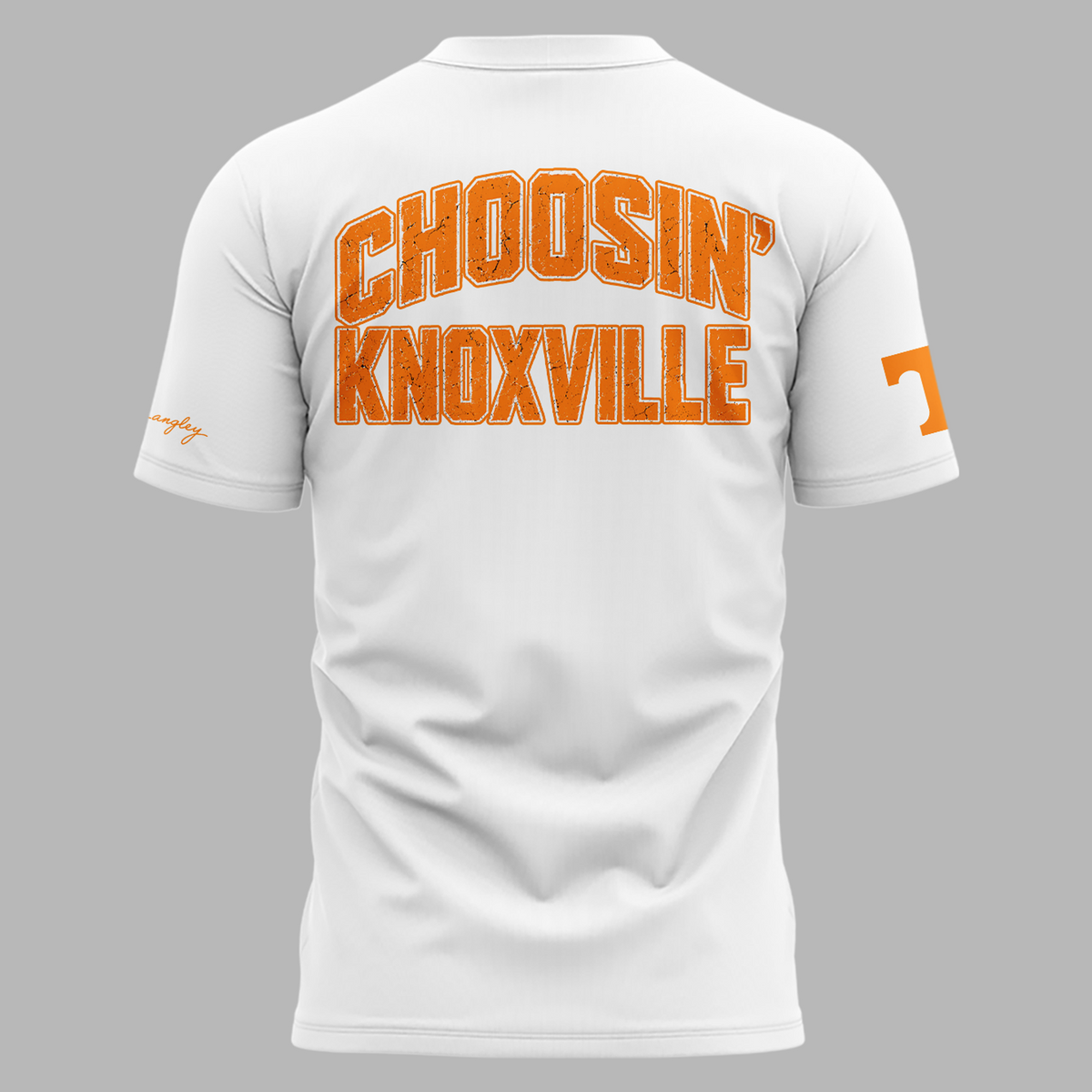 02.Tennessee Volunteers x Ella Langley-The Dandelion Tour 2026 T-shirt