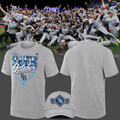 1.Tampa Bay Rays Gray 2026 MLB Division Series Champions Distressed Locker Room Take October T-Shirt
