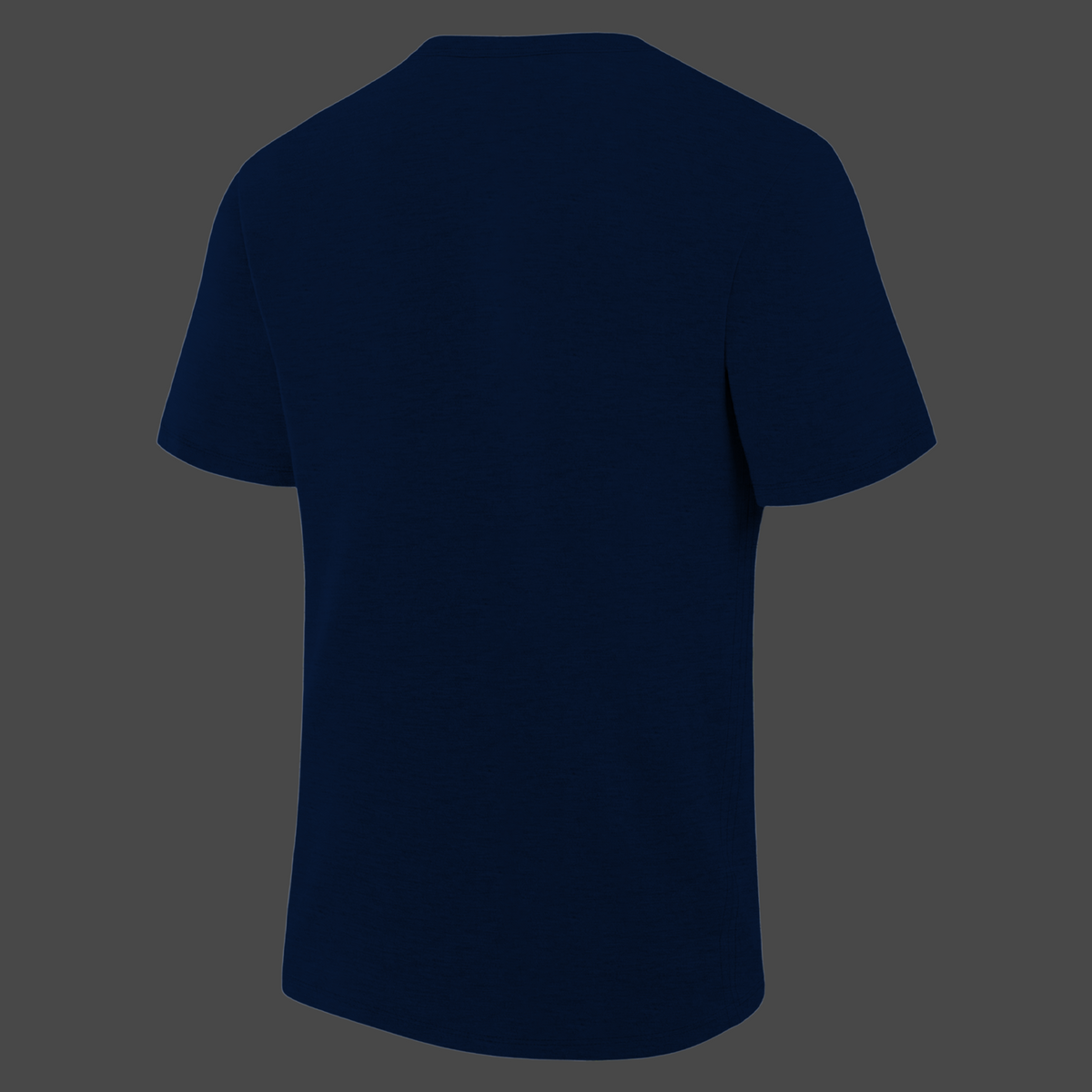 1.Tampa Bay Rays 2026 MLB Division Series Champions Distressed Locker Room Take October T-Shirt