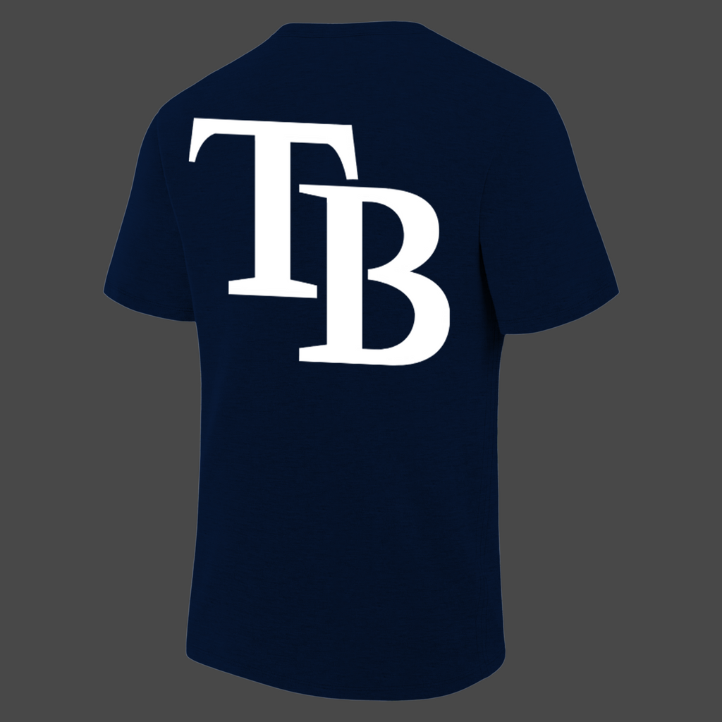 2.Tampa Bay Rays 2026 MLB Division Series Champions Distressed Locker Room Take October T-Shirt