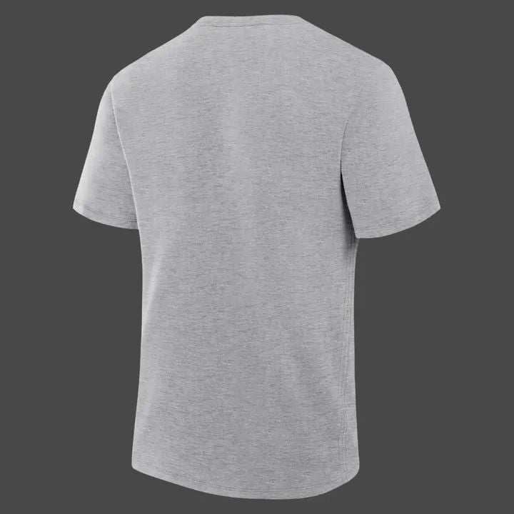 Limited edition Tampa Bay Rays Gray 2026 MLB Division Series Champions Distressed Locker Room Take October T-Shirt!