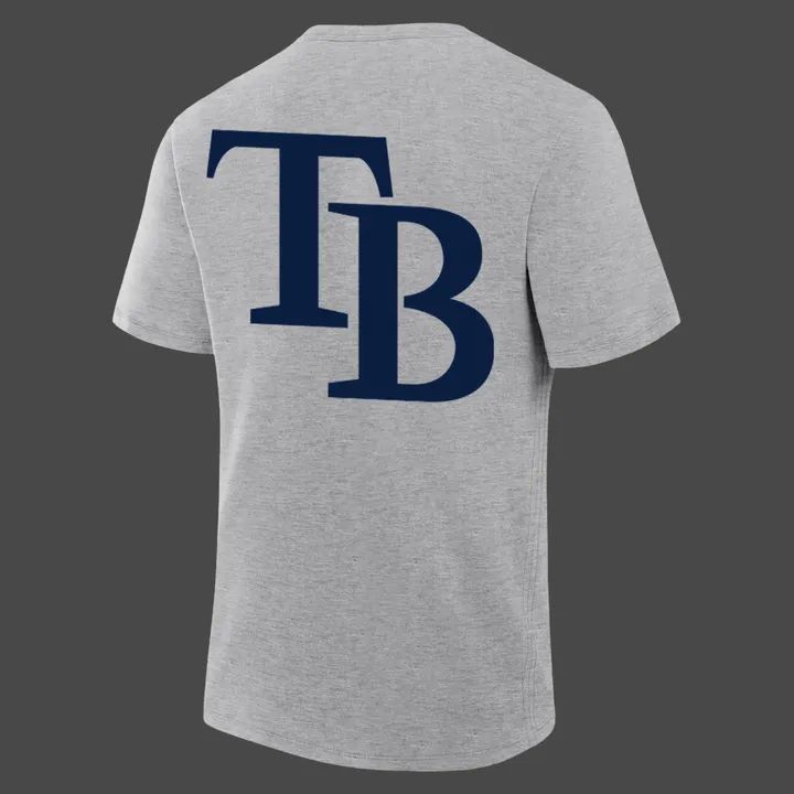 Limited edition Tampa Bay Rays Gray 2026 MLB Division Series Champions Distressed Locker Room Take October T-Shirt..