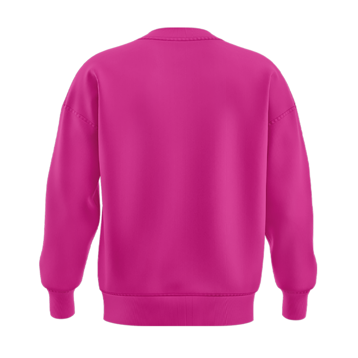 New 2026 Pink Sweatshirt FIU Panthers football.